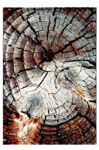 NATURA 21267-90